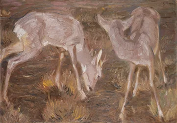 Chevreuils au crépuscule