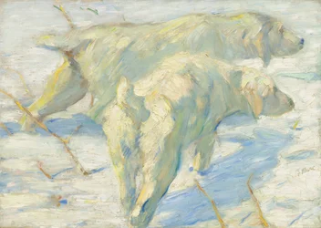 Chiens sibériens dans la neige