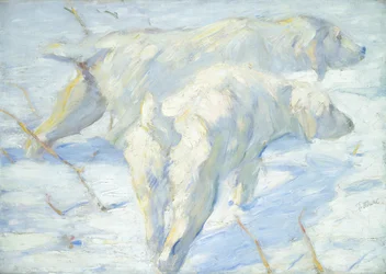 Chiens sibériens dans la neige