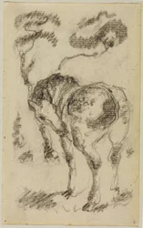 Cheval debout avec des arbres