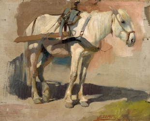Cheval gris attelé