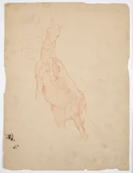 Études d