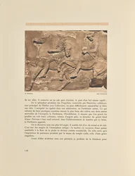 Parthénon. Frise Occidentale