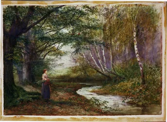 Burnham Beeches, automne