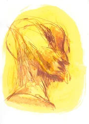 Le Portrait 1