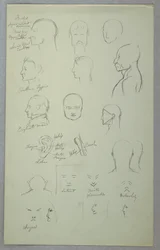 Études Anatomiques