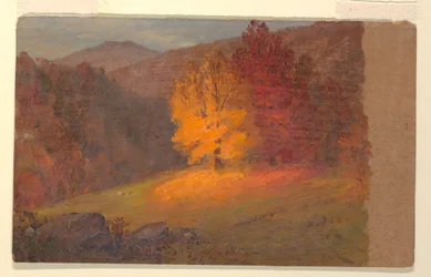 Paysage d
