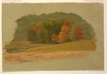 Paysage d