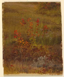 Études botaniques