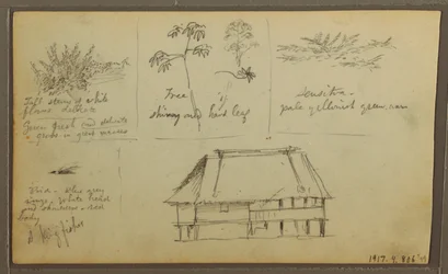 Dessin, un fort ; au verso : croquis botaniques, maison, 1857