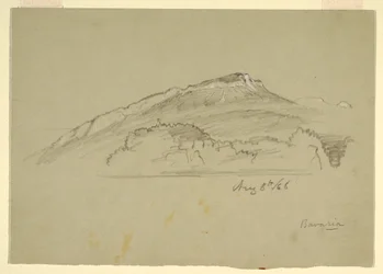 Dessin, un arbre, Bavière, 8 août 1868