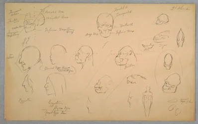 Dessin, études anatomiques, 1865-70