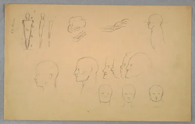Dessin, études anatomiques, 1865-70