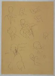 Dessin, études anatomiques, 1865-70