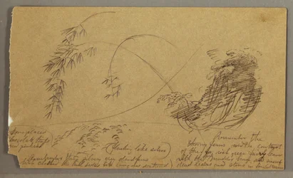 Dessin, brindilles de bambou, peut-être 1865-66