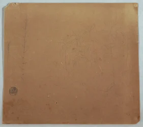 Dessin, croquis botaniques, probablement des bambous, des palmiers et des buissons, Équateur ou Colombie, 1853 ou 1857