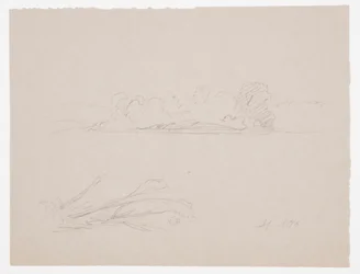 Dessin, croquis botaniques : paysage, arbres sur un rivage, septembre 1876