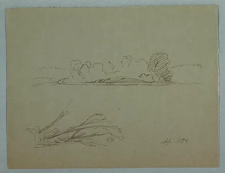 Dessin, croquis botaniques : paysage, arbres sur un rivage, septembre 1876