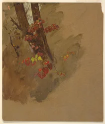 Dessin, études botaniques, 1860-70