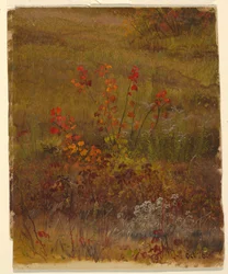 Dessin, études botaniques, octobre 1865
