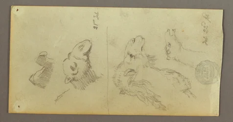 Dessin, études sur les chameaux, 21-22 février 1868