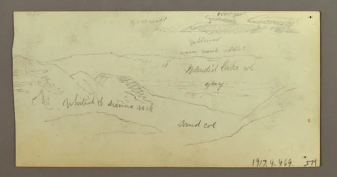 Dessin, études sur les chameaux, 21-22 février 1868