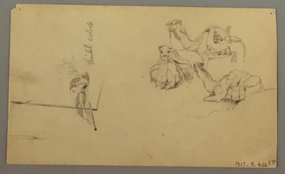 Dessin, Chameaux s