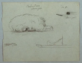 Dessin, arbre Ceiba à Mompos, canoë Champan, arbres et bateau partiel, Rio Magdelena, Colombie, 1853, probablement mai