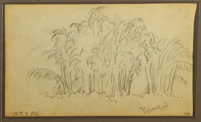 Dessin, vaches dans un paysage ; verso : bambou, 1857