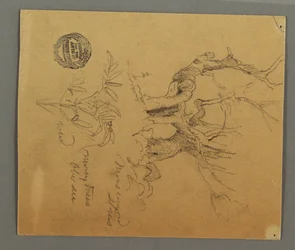 Dessin, arbres morts, plante, peut-être 1868