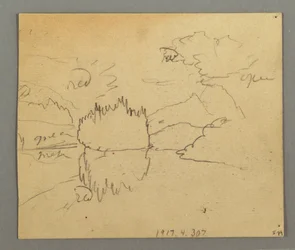 Dessin, arbres morts, plante, peut-être 1868