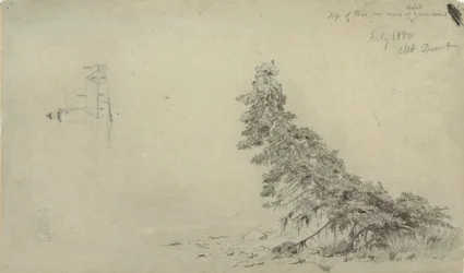 Dessin, Arbre à feuilles persistantes près du rivage avec un détail du phare et d