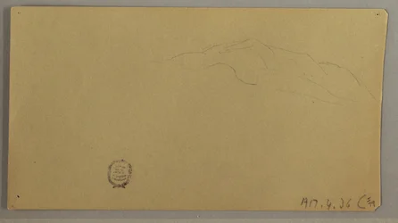 Dessin, plantes à fleurs, vers 1856