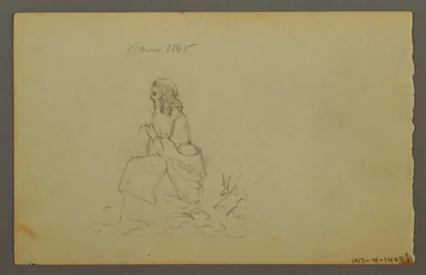 Dessin, Graminées, 1844