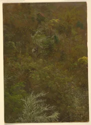 Dessin, colline couverte de buissons et d