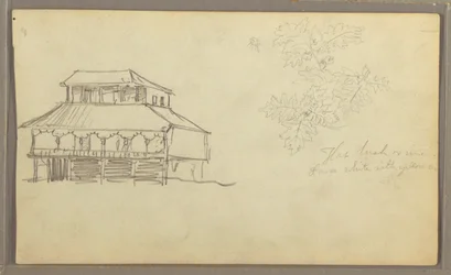 Dessin, maison, croquis botanique, Équateur ou Colombie, 1857