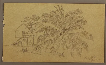 Dessin, maison et fougère, mai 1865