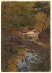 Dessin, Dans les bois de la Nouvelle-Angleterre, 1855-65