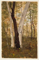 Dessin, Dans les bois, Hudson, New York, octobre 1865