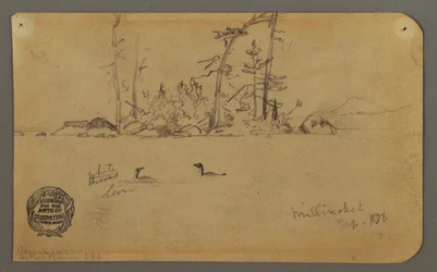 Dessin, île, deux huards, 1878