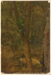 Dessin, scène de jungle, juin 1865