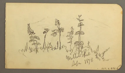 Dessin, lac en direction du mont Katahdin, 1878