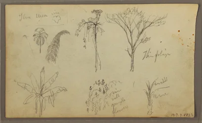 Dessin, paysage, Guayaquil, Équateur, 21 mai 1857