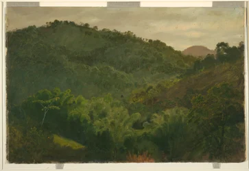 Dessin, Paysage de la Jamaïque, Antilles, 1865