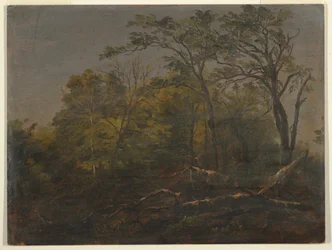 Dessin, forêt du Maine, 1845-55