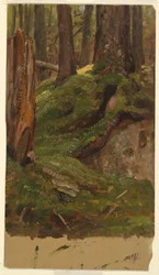 Dessin, Maine  bois, 1855-65