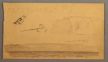 Dessin, Homme en bateau, oiseau, falaises, côte, 6 juillet 1859