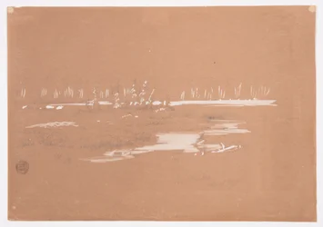 Dessin, paysage marécageux près de Millinocket, 20 septembre 1878