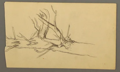 Dessin, section centrale d