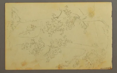 Dessin, moulin entouré d